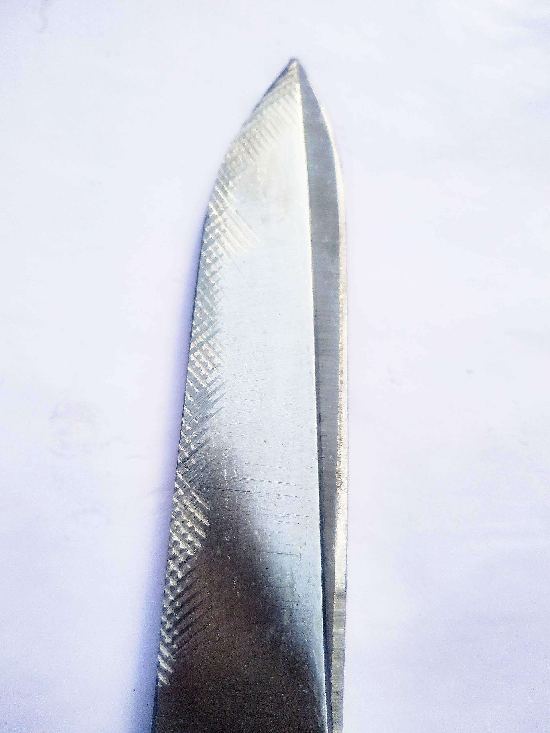 ALVI Tailor Brass Scissor Right Handed 10" for Men and Women Cutting Fabrics 5