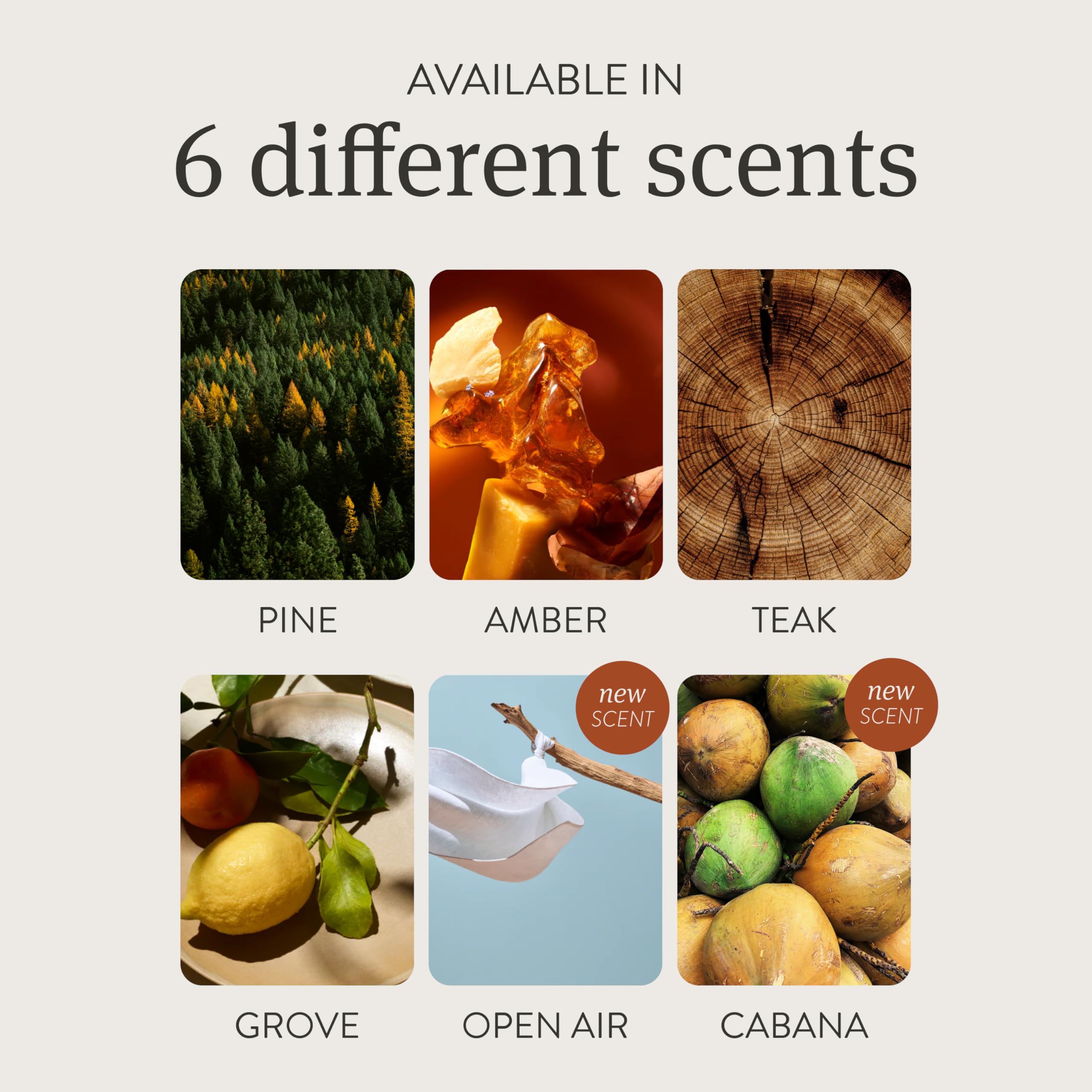 Drift Car Air Freshener - The Original Wood Air Freshener - Car Odor Eliminator - Long Lasting Scent - Metal Clip - Essential Oils - Clean Ingredients - Amber Scent 3 Pack Refill - NO CLIP INCLUDED 5