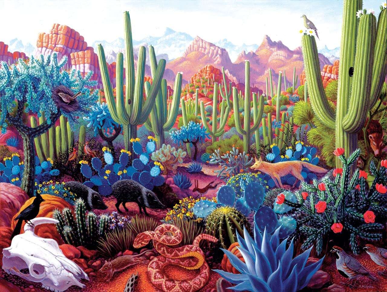 SUNSOUT INC - Cactusland - 1000 pc Jigsaw Puzzle by Artist: Stephen Morath - Finished Size 20" x 27" - MPN# 69936 3
