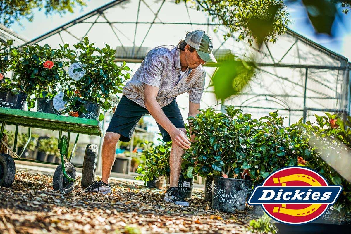 Dickies Men's Dri-tech Moisture Control No Show Socks (6 & 12 Pairs), Charcoal (6 Pairs), Shoe Size: 6-12 4