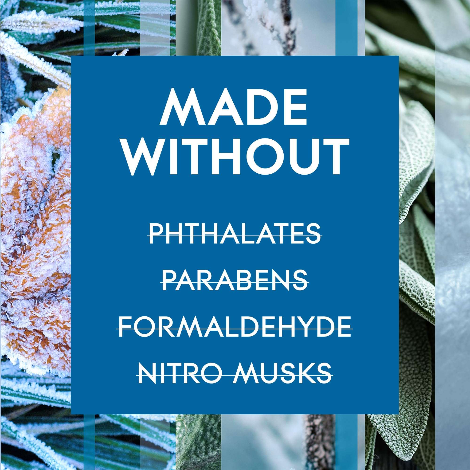 Glade Automatic Spray Refill, Air Freshener for Home and Bathroom, First Frost, Limited Edition Scent, 6.2 Oz 6