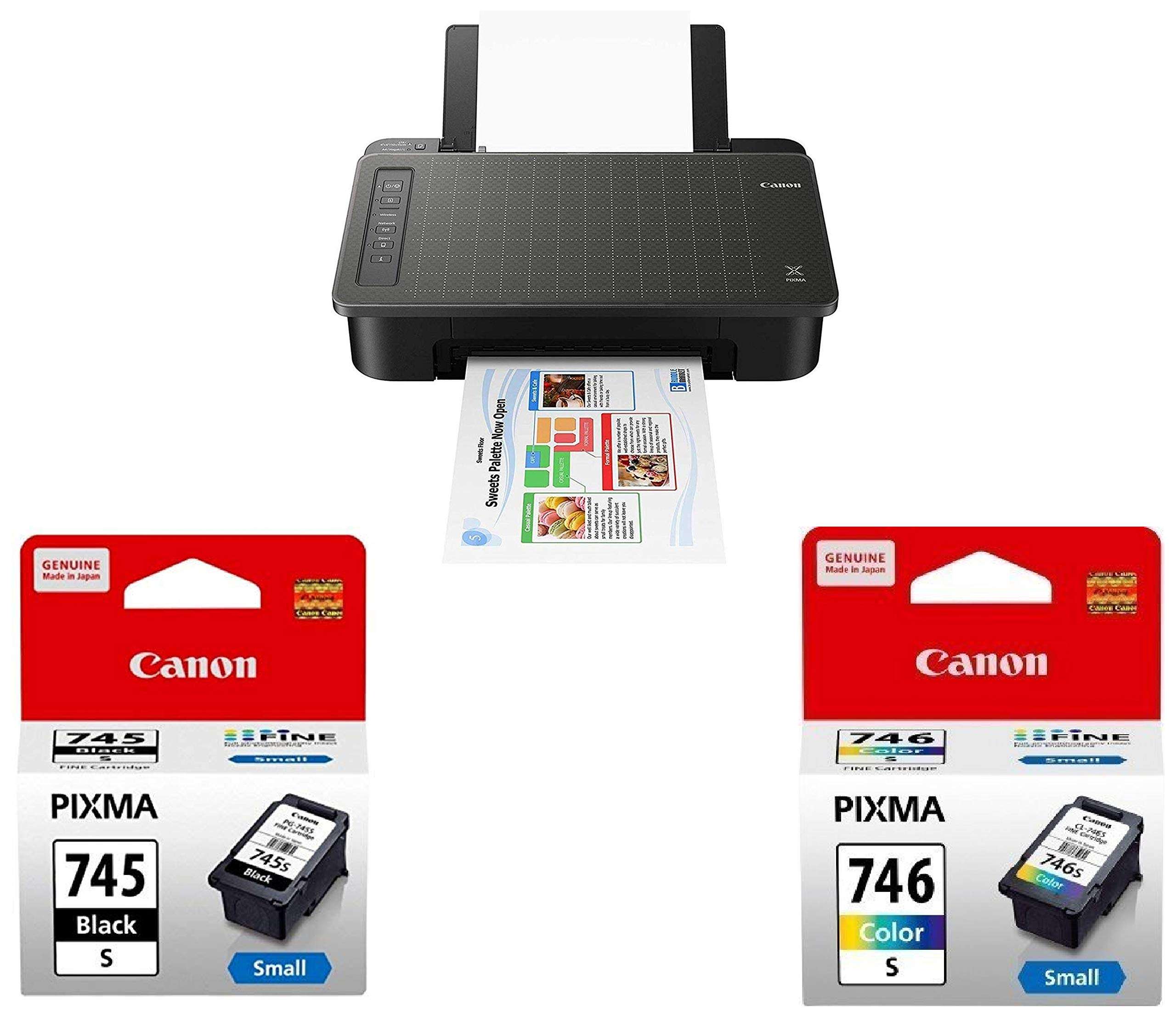 Canon TS307 Single Function Inkjet Colour Printer with PG745S & CL746S Ink Cartridge 1