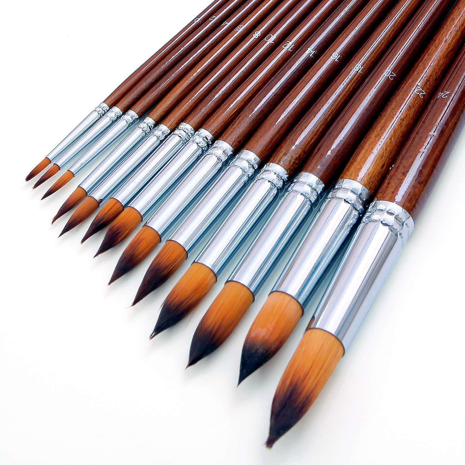 ArtBee® ArtBee Painting Brushes Set for Acrylic, Oil and Watercolor Painting (Round Brushes and Painting Knife with Sponge-Set of 15) 4