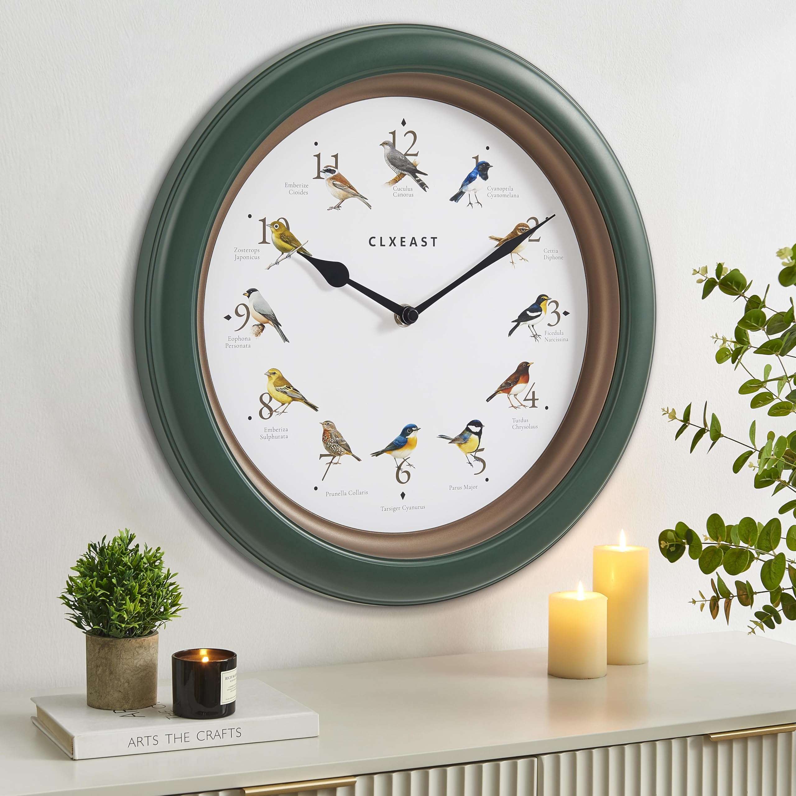 CLXEAST 24 Inch Wall Clock with Moving Gears &13.3 Inch Bird Clock That Sings on Hour,Singing Bird Clock with Nature Sounds from 6 am-9 pm and Silent Night Mode,Forest Green Finish 3