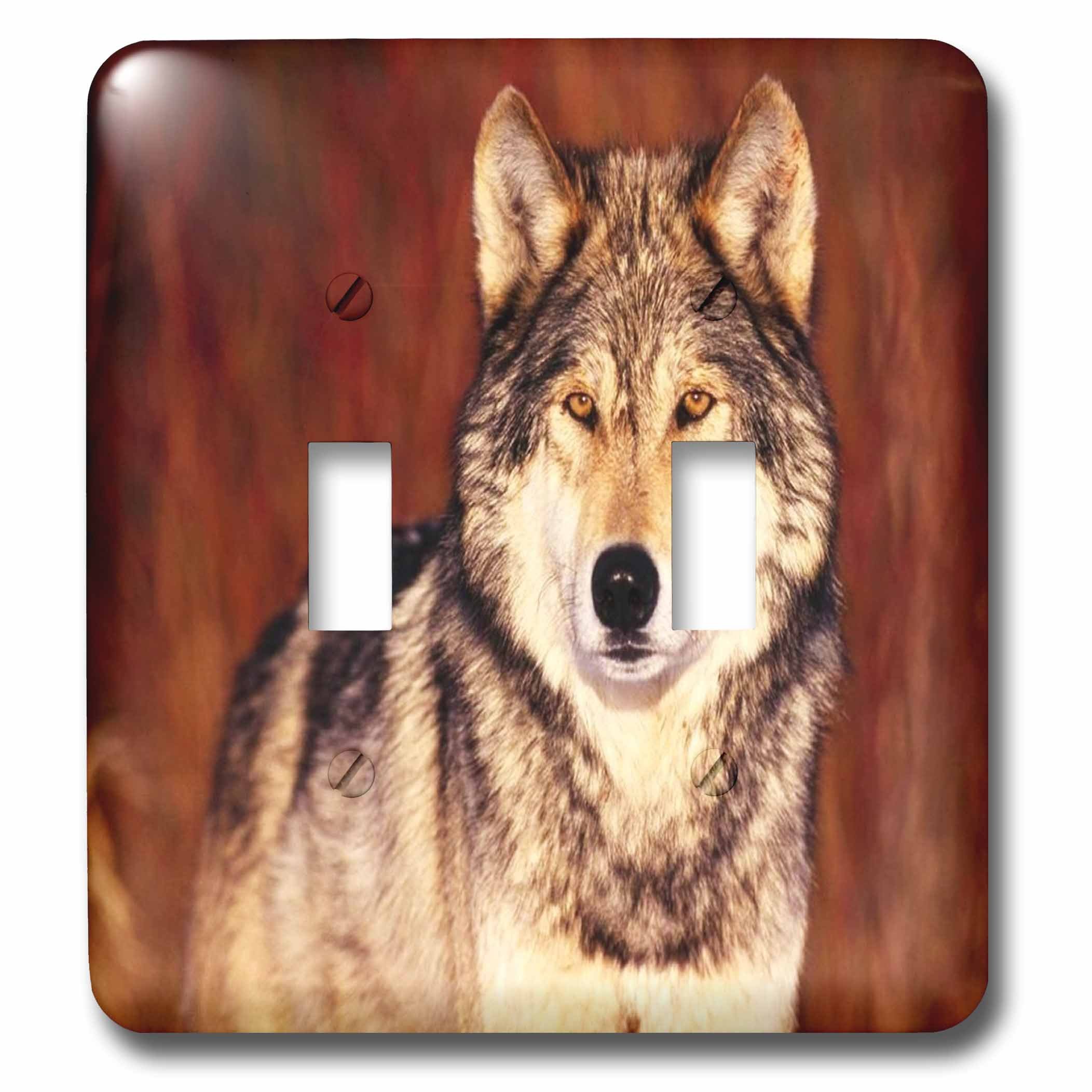 3dRose lsp_80301_2 Serious Pose of Brown Wolf Double Toggle Switch 1