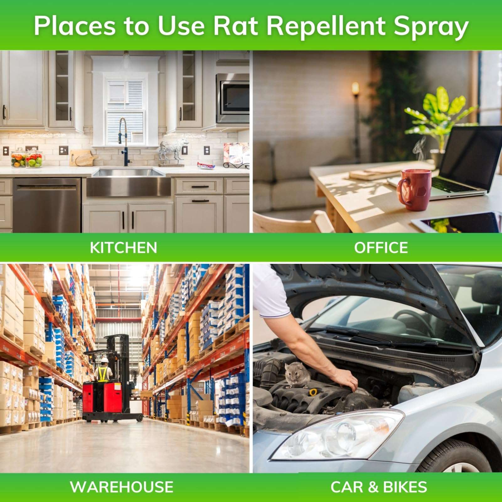 Elem™ Rat Repellent for Car 200ml| 100% Natural | Made of Peppermint, Eucalyptus & Thyme Oils | | Keep Away Rats |Rat Repellent for Home| Car Rat Protection |Safe for Kids & Adults |Pack of 1 5