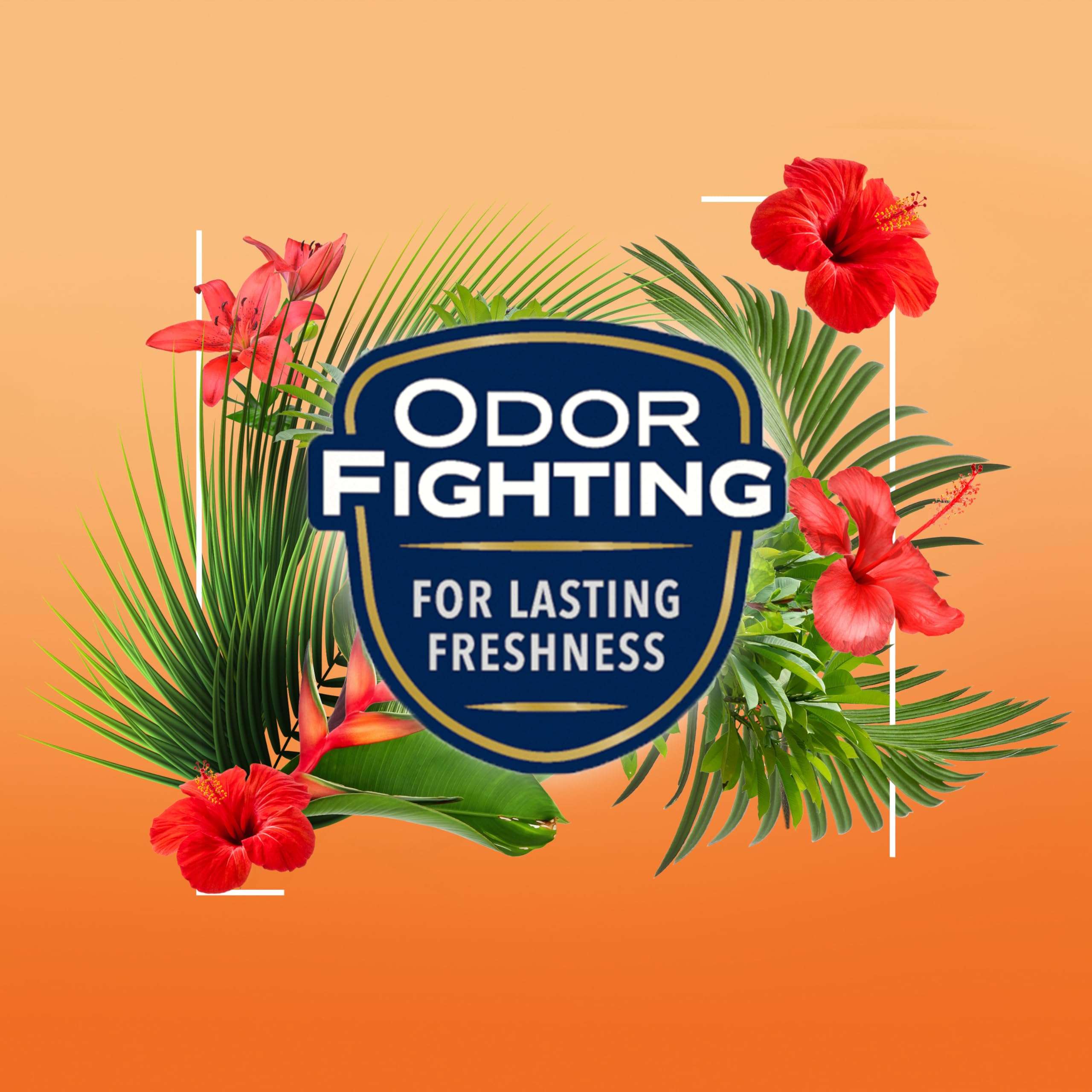 Glade Automatic Spray Refill and Holder Kit, Air Freshener for Home and Bathroom, Hawaiian Breeze, 6.2 Oz, 2 Count 5