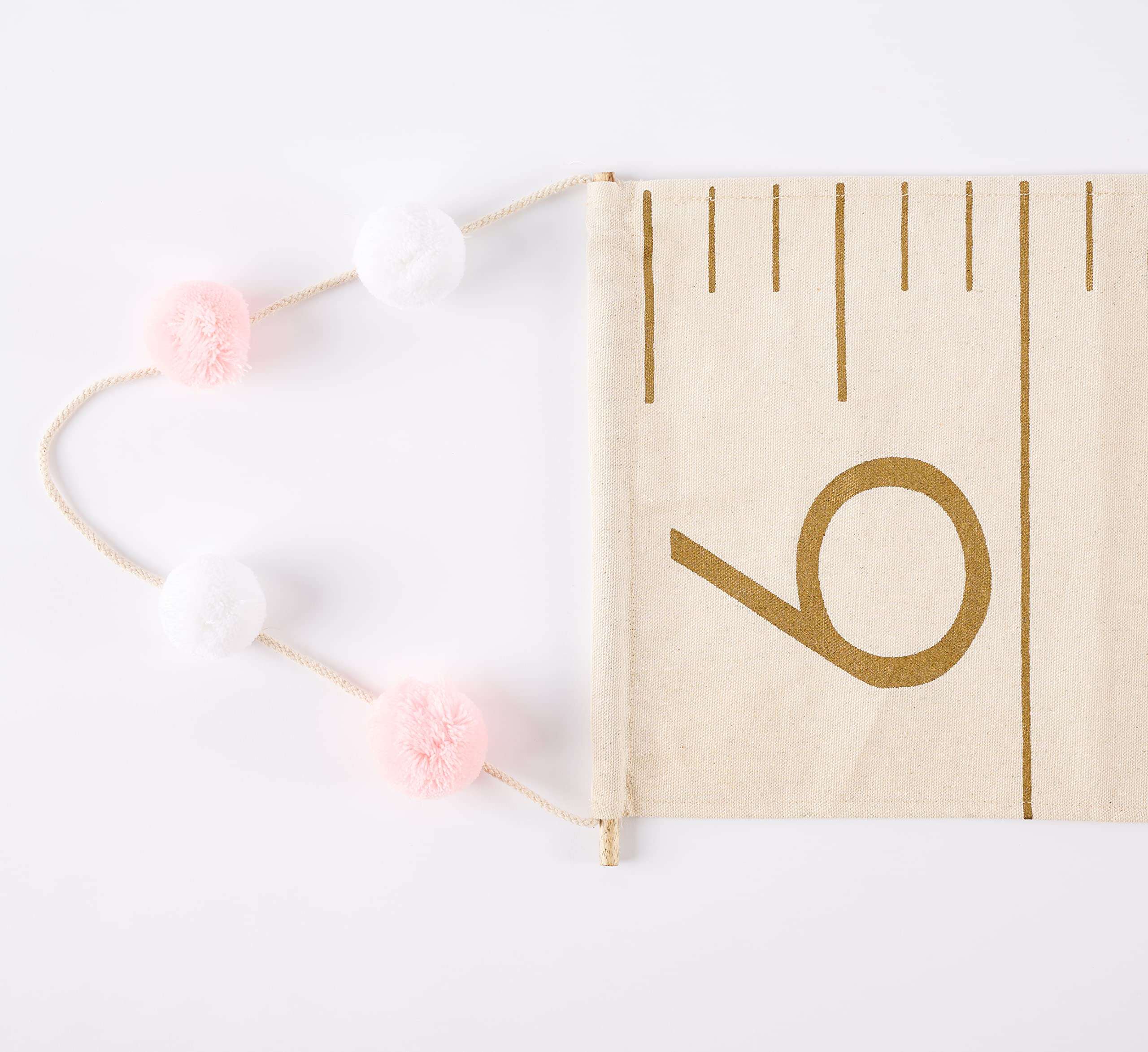 Mud Pie Milestone Growth Chart & Grey Pom Pink 5