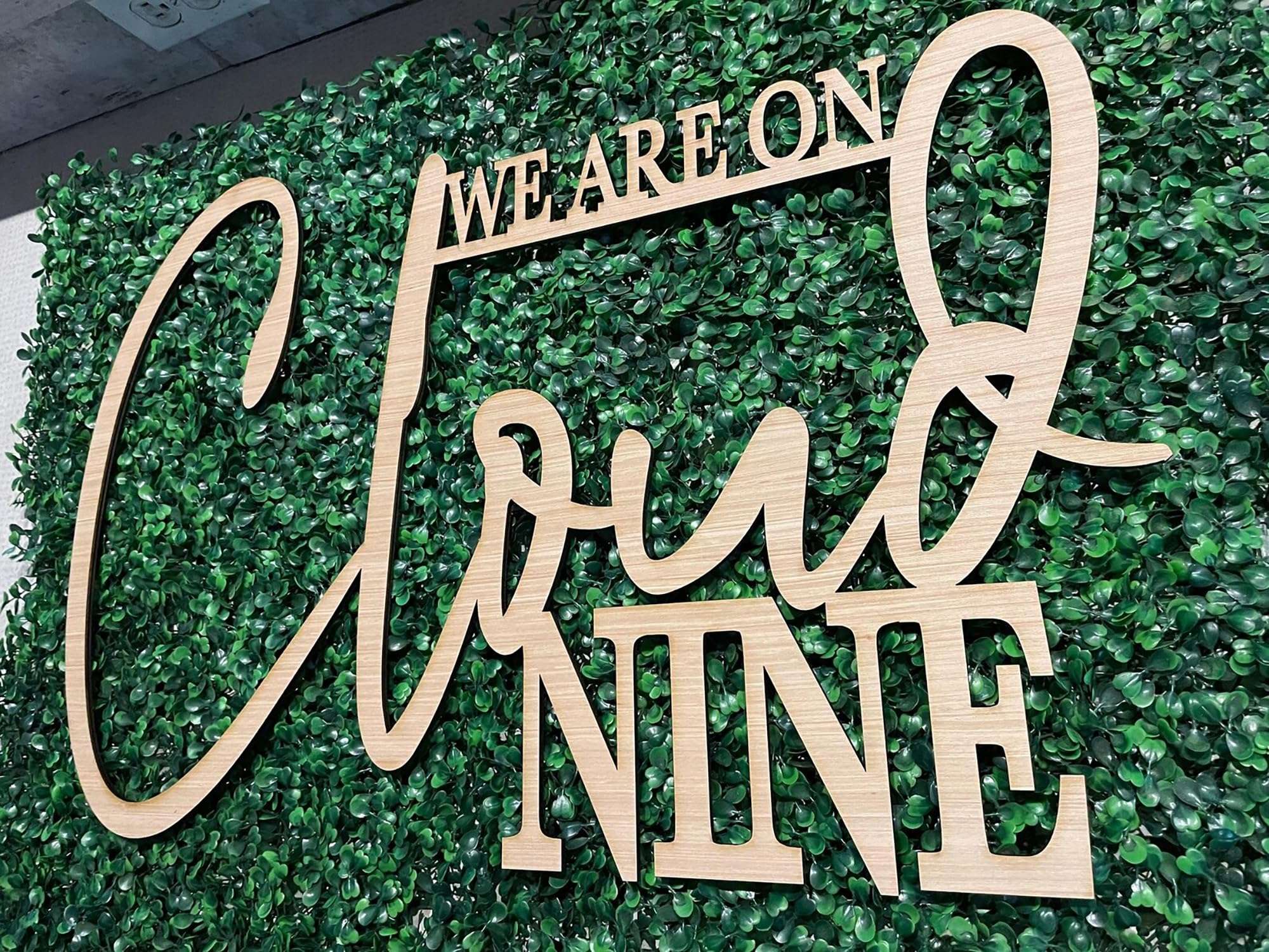 We Are On Cloud Nine Sign for Backdrop,Baby Shower Party Wall Sign for Gender Reveal Girl or Boy Baby Shower Party Decorations 4