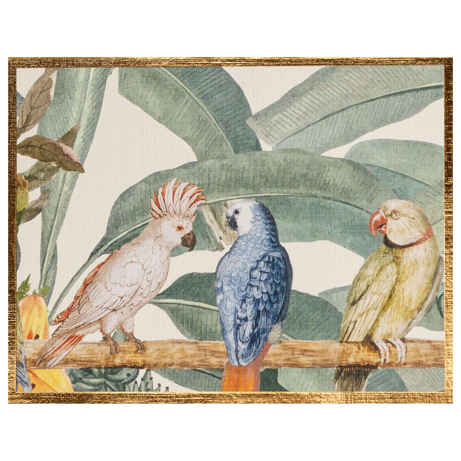 NEHA SINGH BHATIA Premium Folded Blank Gift Cards with Envelopes for Birthdays & Gifting | 250 GSM Card & 100 GSM Envelope | Multicolour Design | 9.2 x 11.8 cm | Pack of 10 1