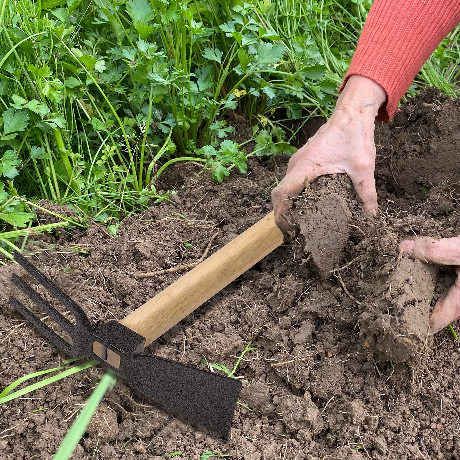 VILIVIT Garden Hoes Dual Headed Weeding Tool - Carbon Steel Hoe/Cultivator 3 Prongs Combo Garden Tools with Wood Handle 5