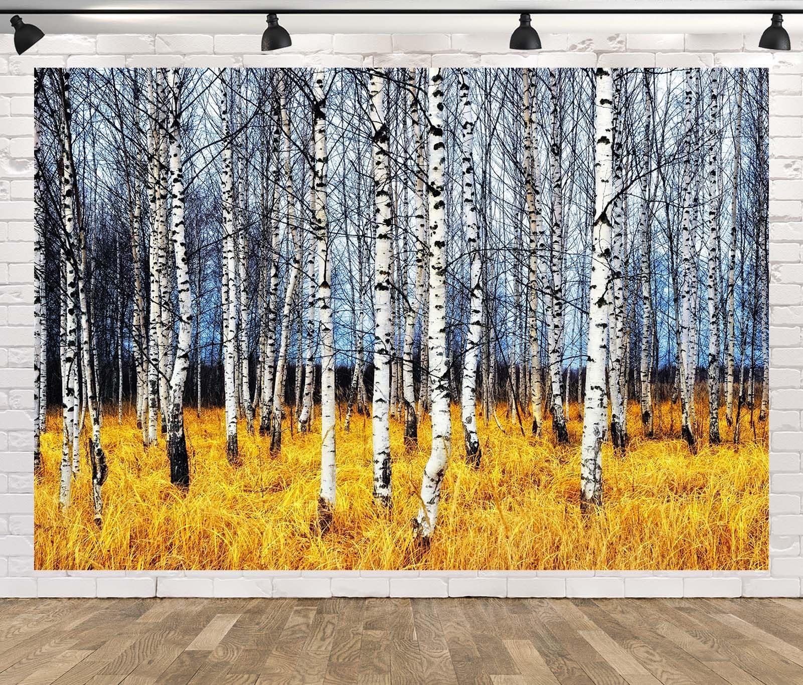 CORFOTO Autumn Forest White Birch Trees Backdrop Fabric 17x10ft Orange Grass Bare Trunk Nature Scene Background for Fall Scenery Birthday Party Decorations Baby Shower Halloween Photoshoot Props 1