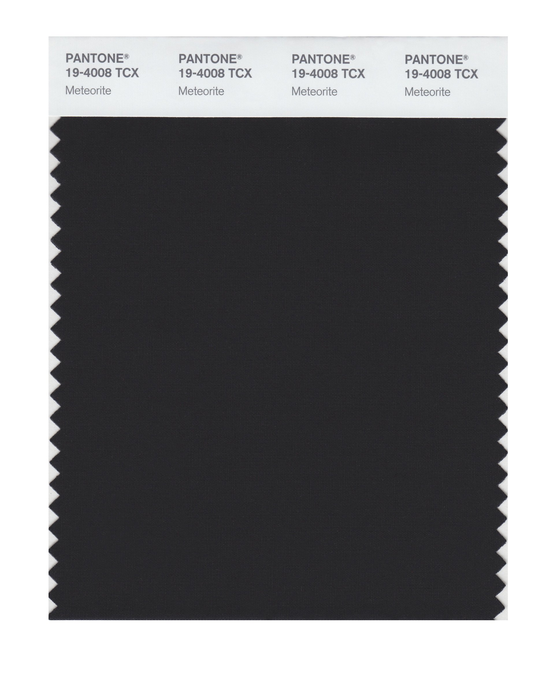 Pantone 19-4008 TCX Smart Color Swatch Card, Meteorite