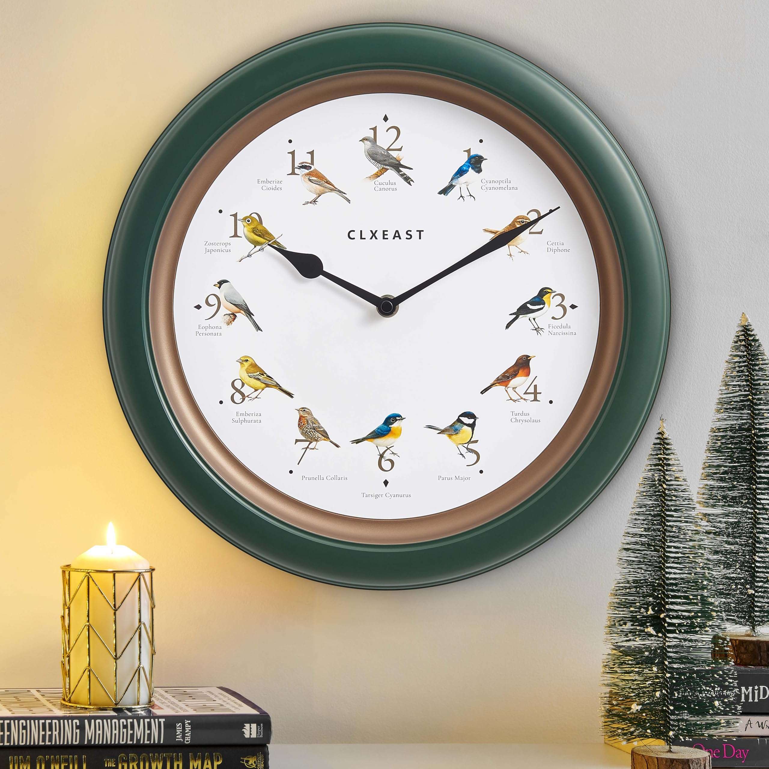 CLXEAST 24 Inch Wall Clock with Moving Gears &13.3 Inch Bird Clock That Sings on Hour,Singing Bird Clock with Nature Sounds from 6 am-9 pm and Silent Night Mode,Forest Green Finish 5