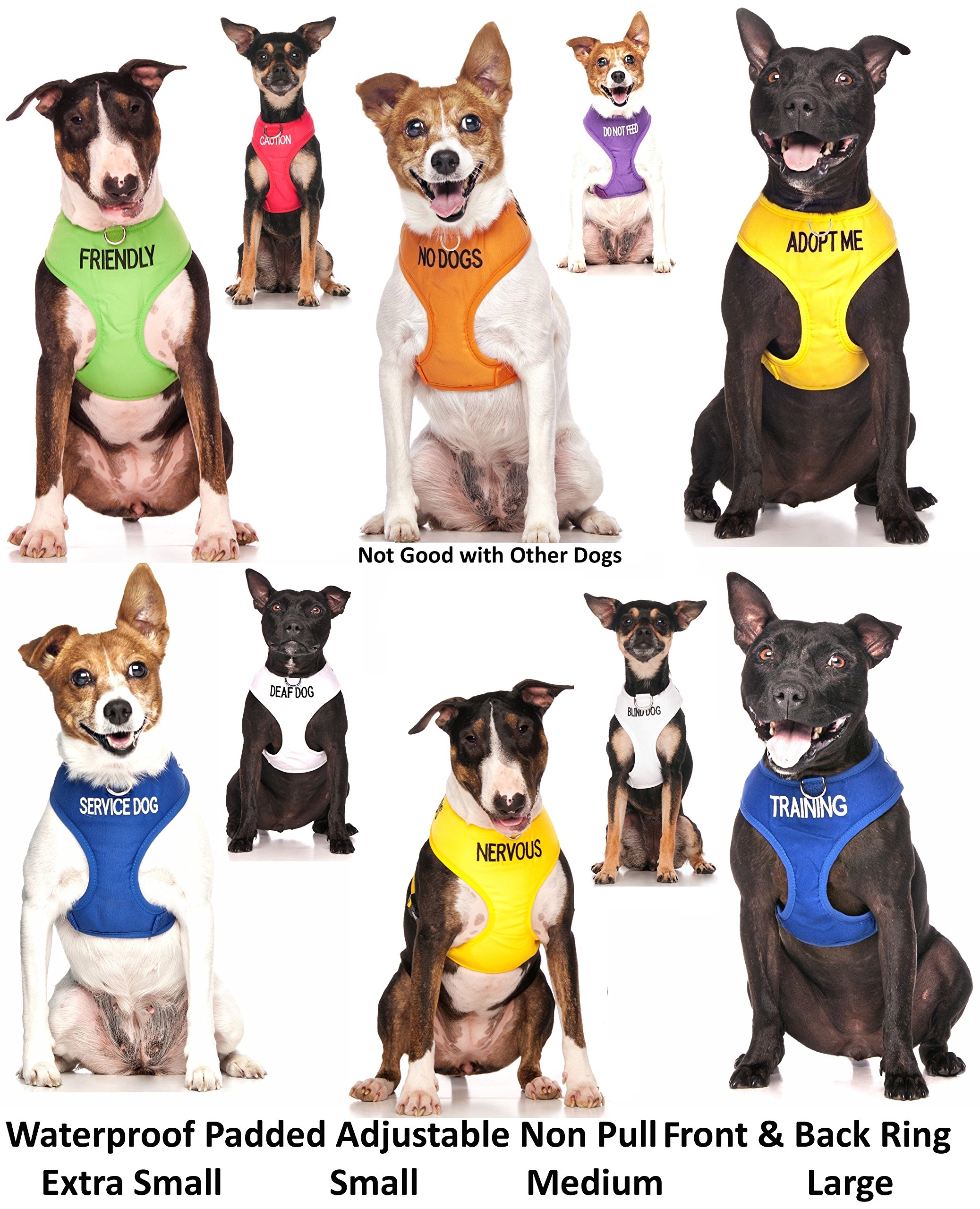 Dexil Limited Nervous (Give Me Space) Yellow Color Coded Non-Pull Front and Back D Ring Padded and Waterproof Vest Dog Harness Prevents Accidents by Warning Others of Your Dog in Advance (XS) 5