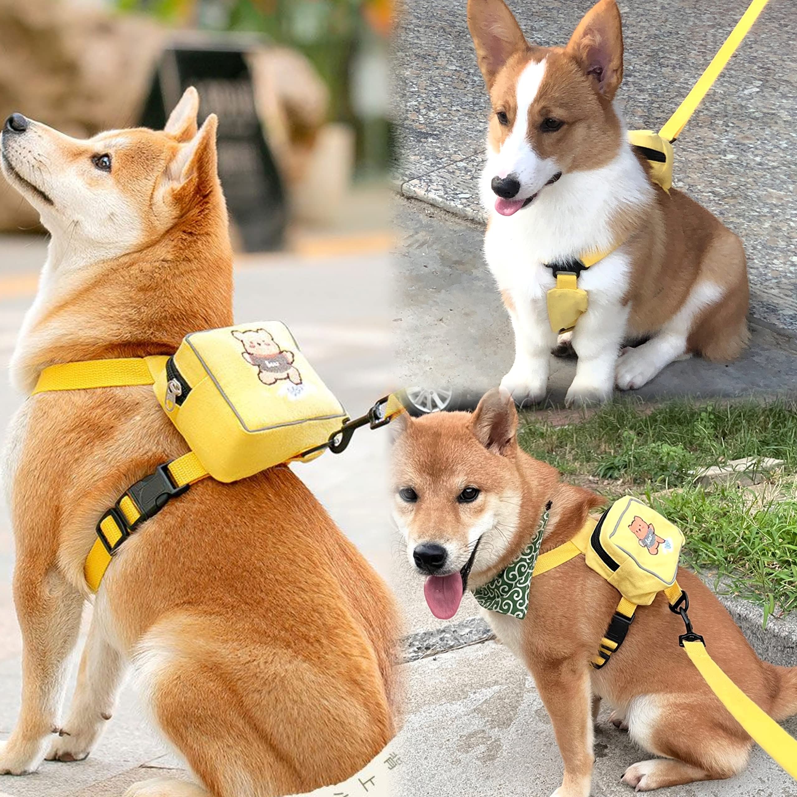 Dog Bag and Leash Set - Dog Bag Harness for Small Dogs Medium Dogs- Adjustable in Harness for Dogs (Medium 7-16 Ib) 5