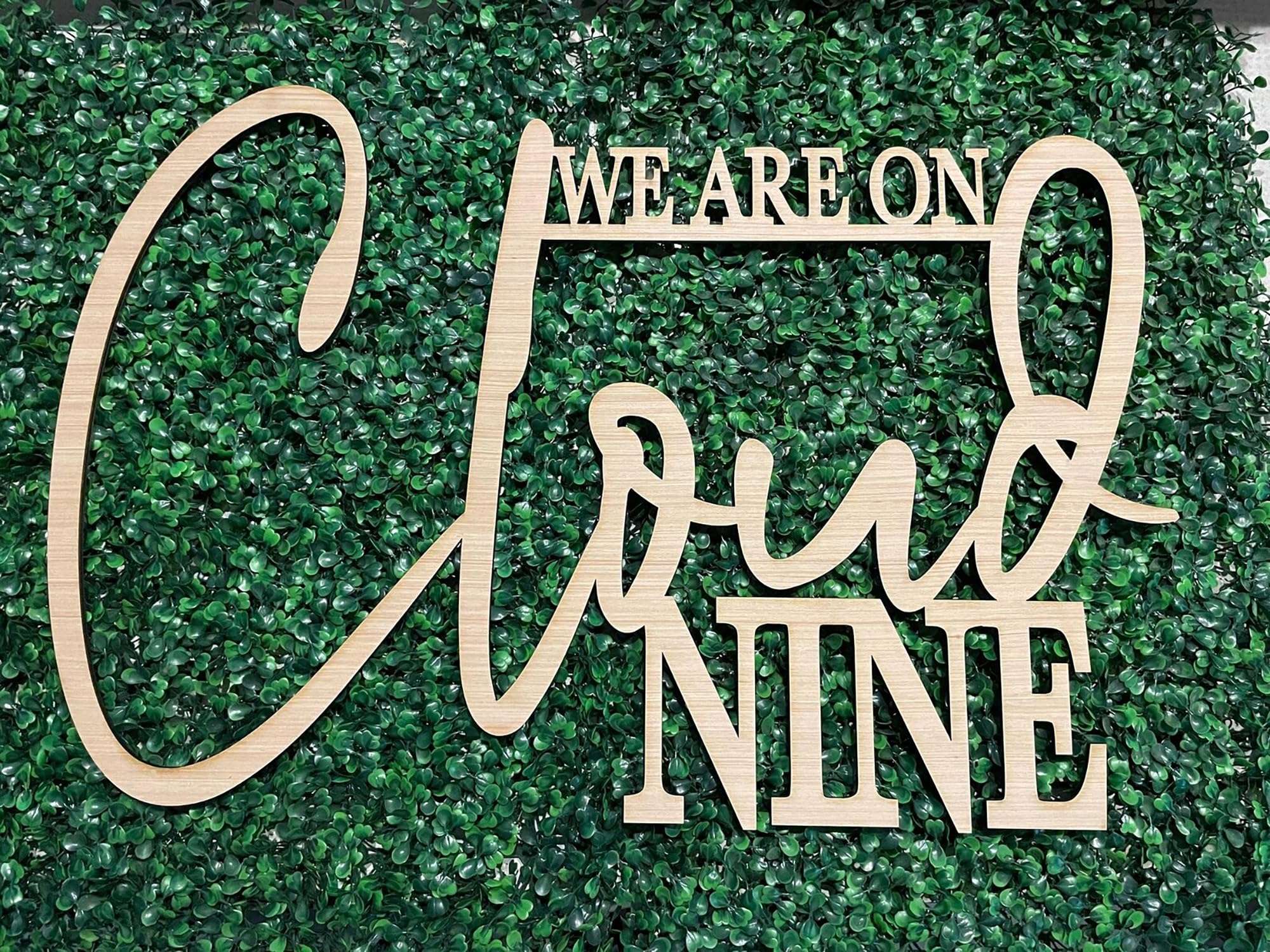 We Are On Cloud Nine Sign for Backdrop,Baby Shower Party Wall Sign for Gender Reveal Girl or Boy Baby Shower Party Decorations 1