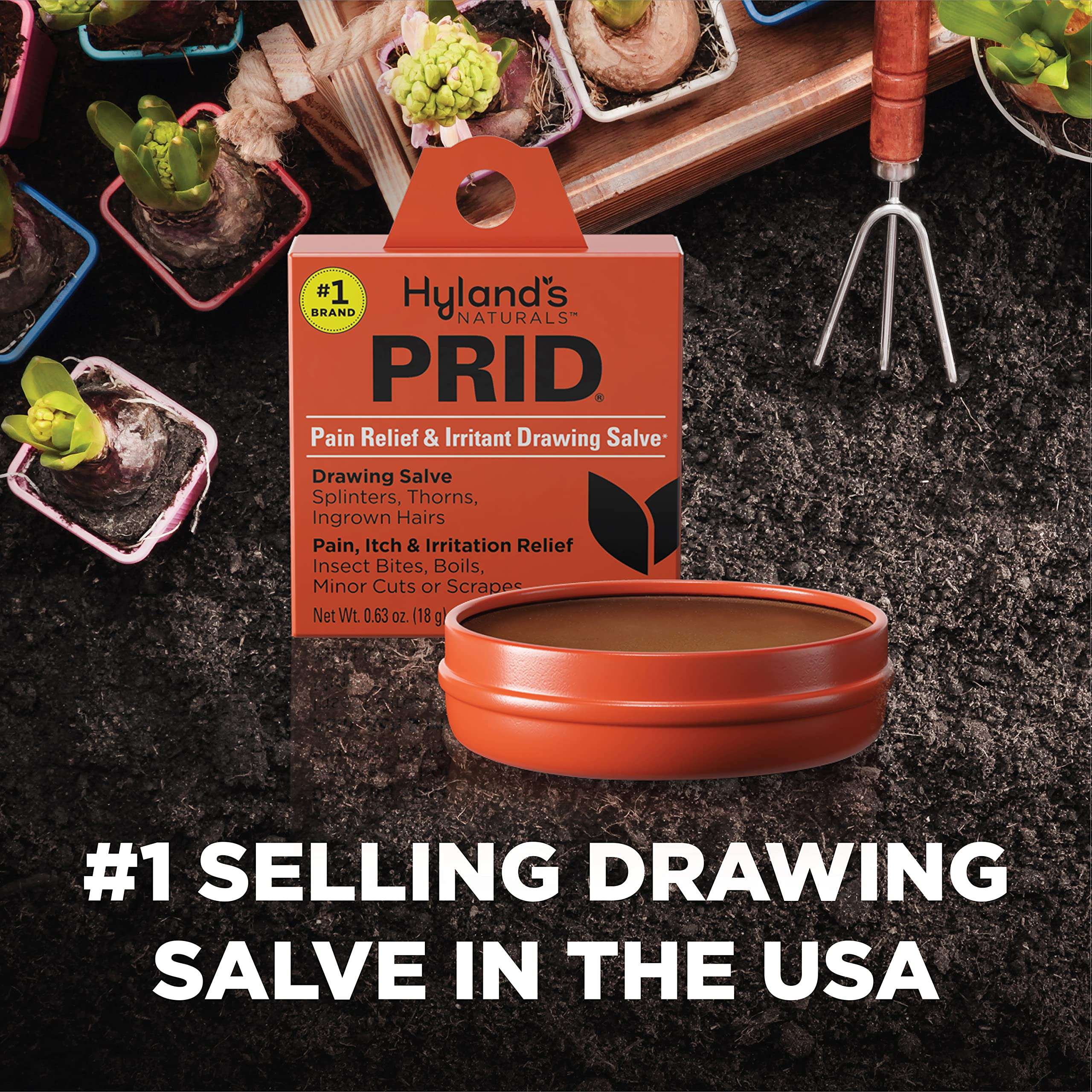 Hyland's PRID Drawing Salve Naturals (2 Pack) 5