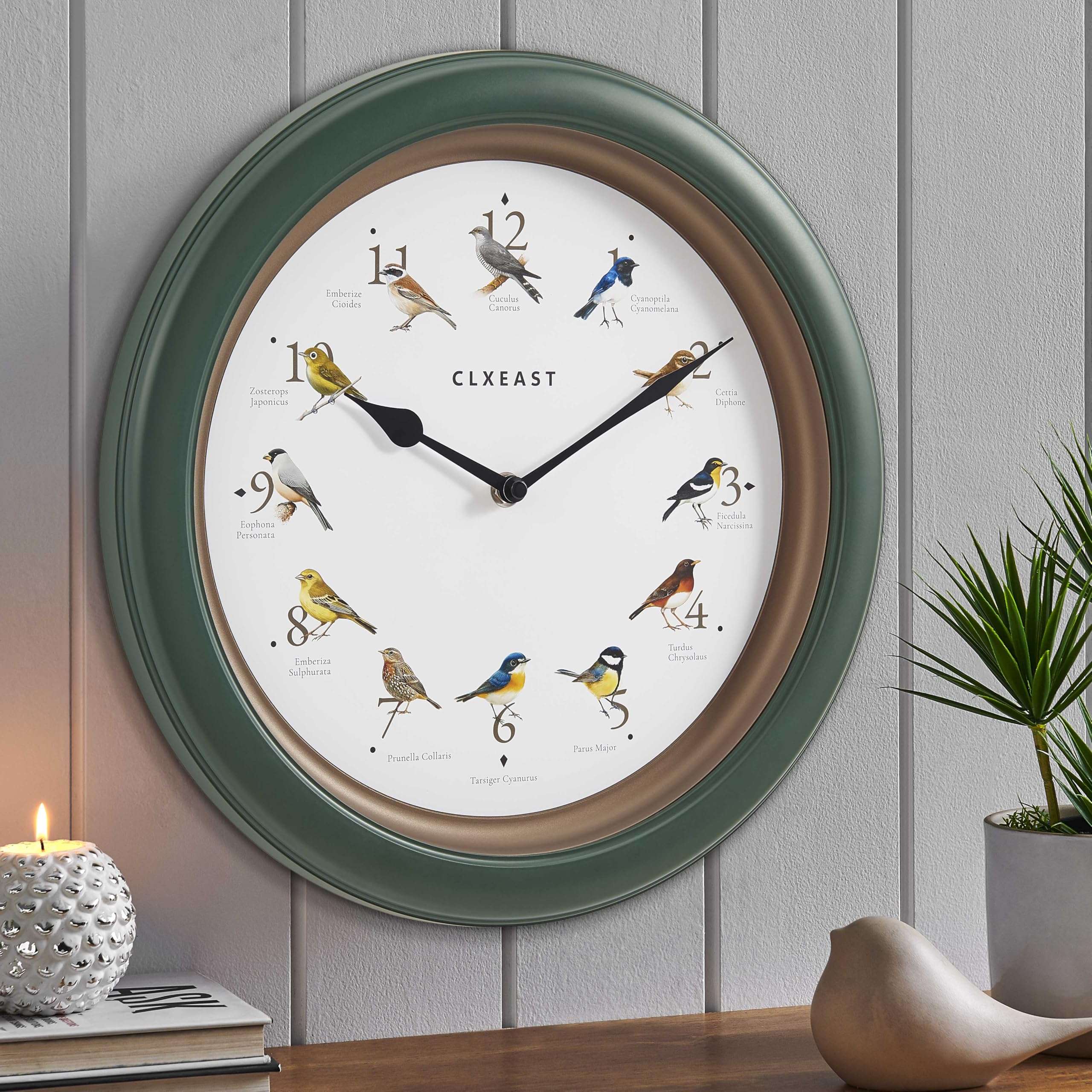 CLXEAST 24 Inch Wall Clock with Moving Gears &13.3 Inch Bird Clock That Sings on Hour,Singing Bird Clock with Nature Sounds from 6 am-9 pm and Silent Night Mode,Forest Green Finish 6