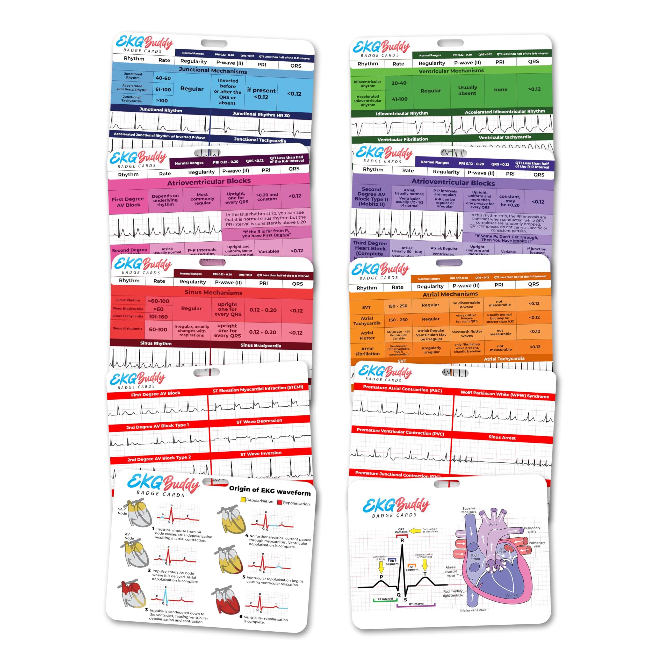 EKG Buddy's 5 Card EKG Interpretation Badge Set - Doubled Sided Nurse ECG Cards Guide Rhythm Cheat Sheet, EKG Telemetry Strips for ACLS Medical Cardiac Reference and Nursing Student Gift Accessories 1