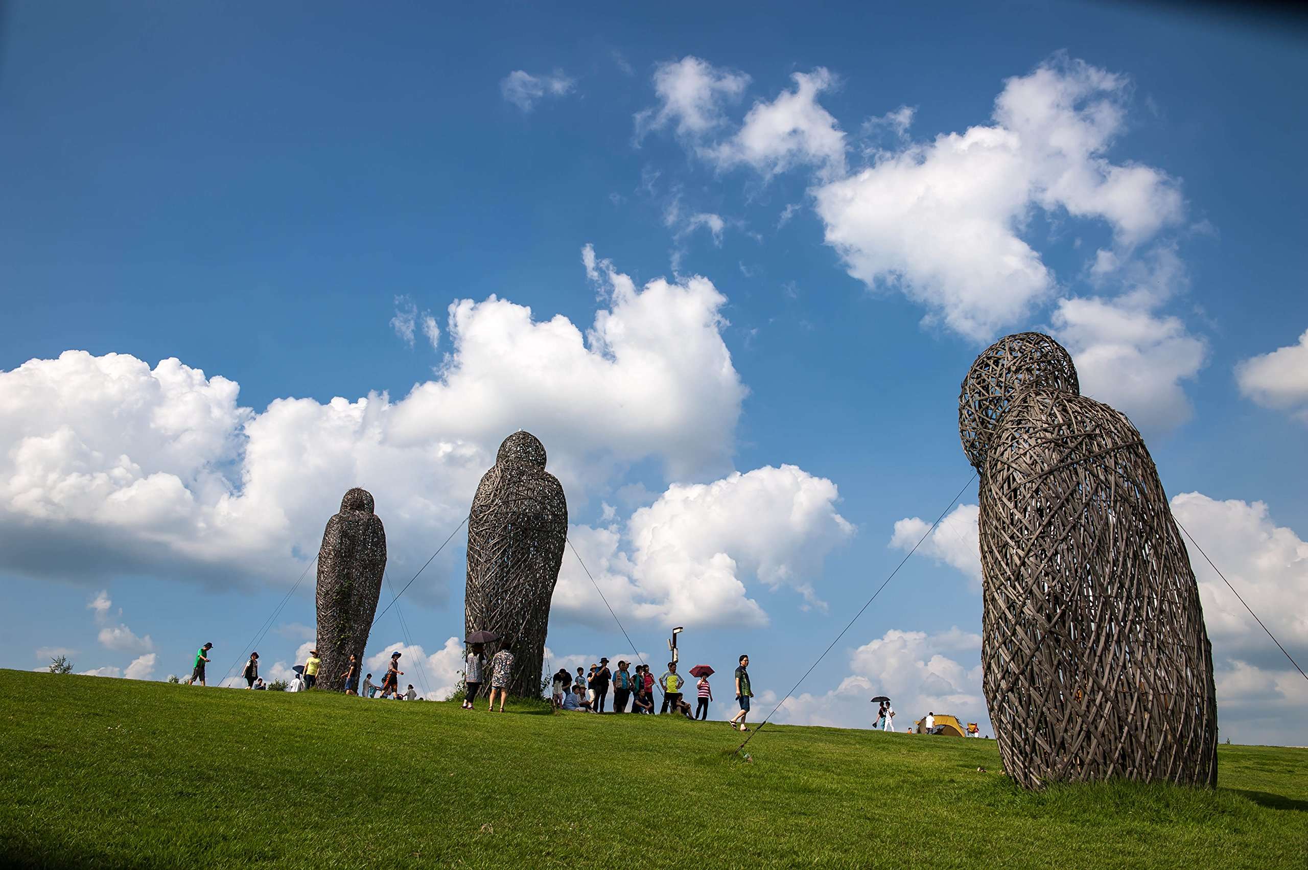 Samyang 24 mm F1.4 Manual Focus Lens for Sony E Black 5