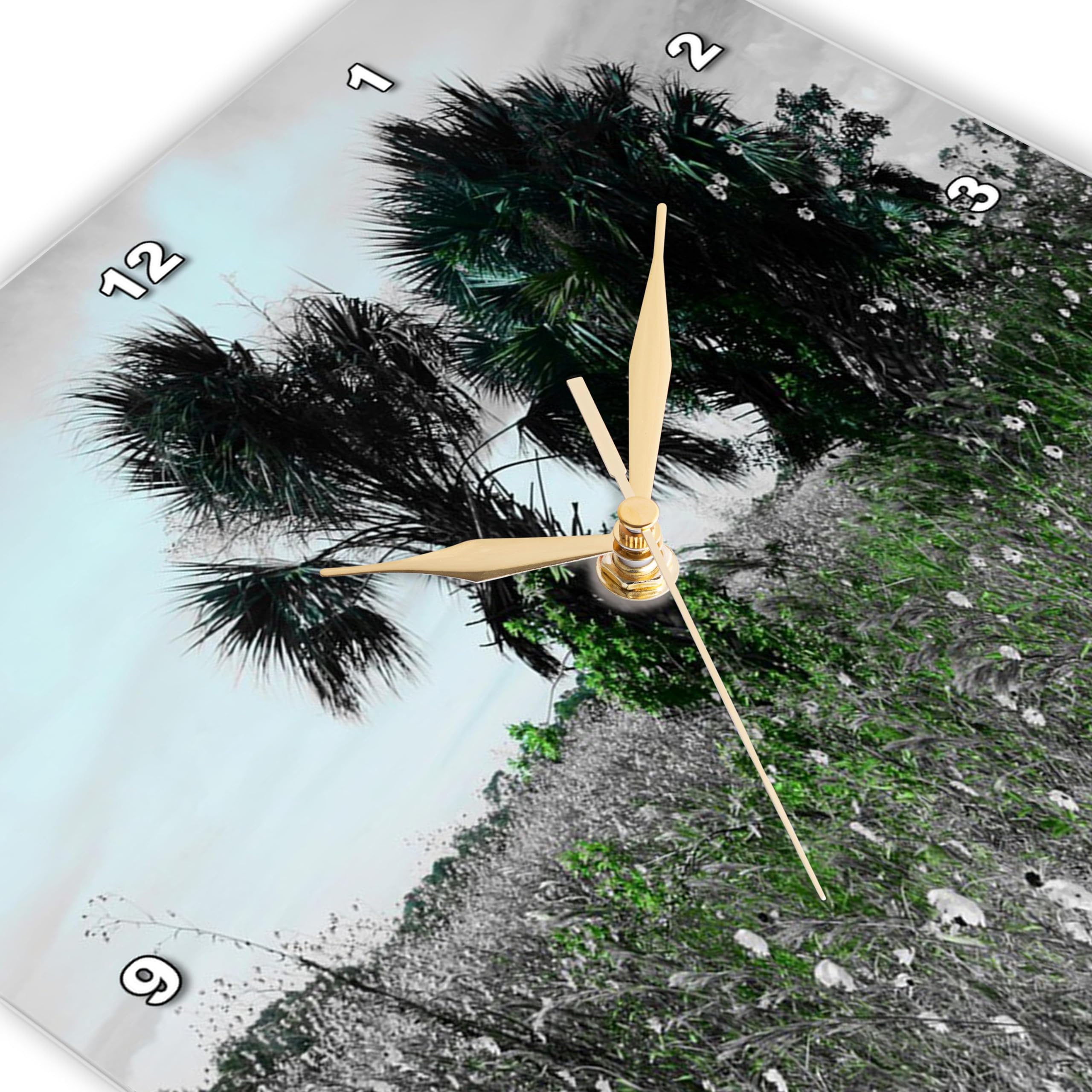 3dRose Wall Clock Silent - 13 inch - Image of Black and White Palms with Aqua Clouds Some Green - Lens Art by Florene - Black and White with Twist 3