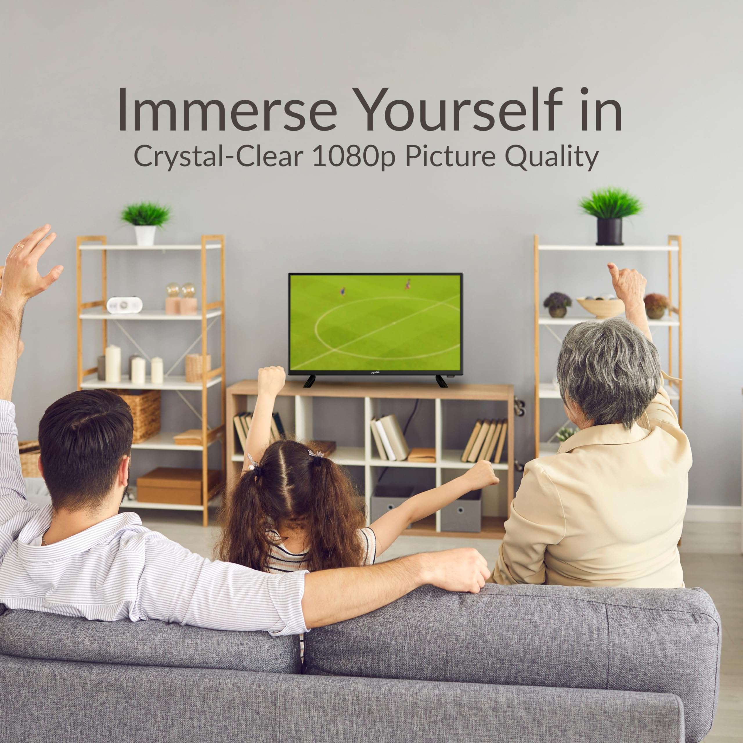 Supersonic SC-2412 24-Inch HDTV & Monitor with Built-in DVD Player, 1080p,Vibrant Colors, HDMI/USB/AC Ports, TV-to-PC Transition, and AC/DC Compatibility 3