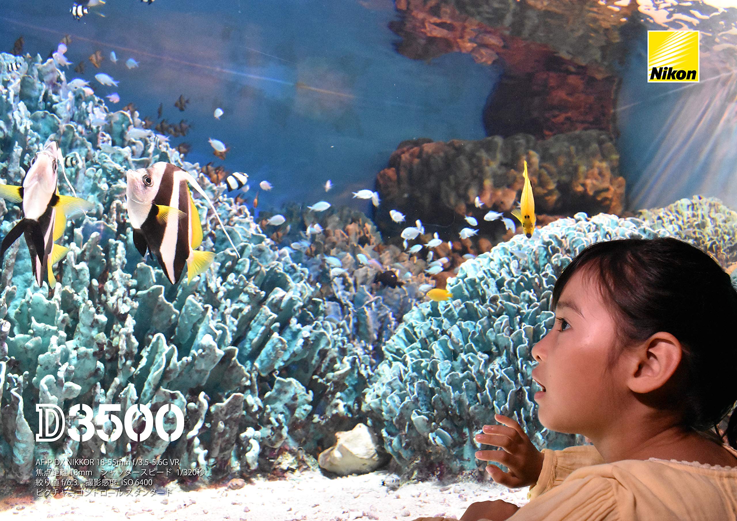 Nikon AF-P DX NIKKOR 18-55mm f/3.5-5.6G VR Lens for Nikon DSLR Cameras 2