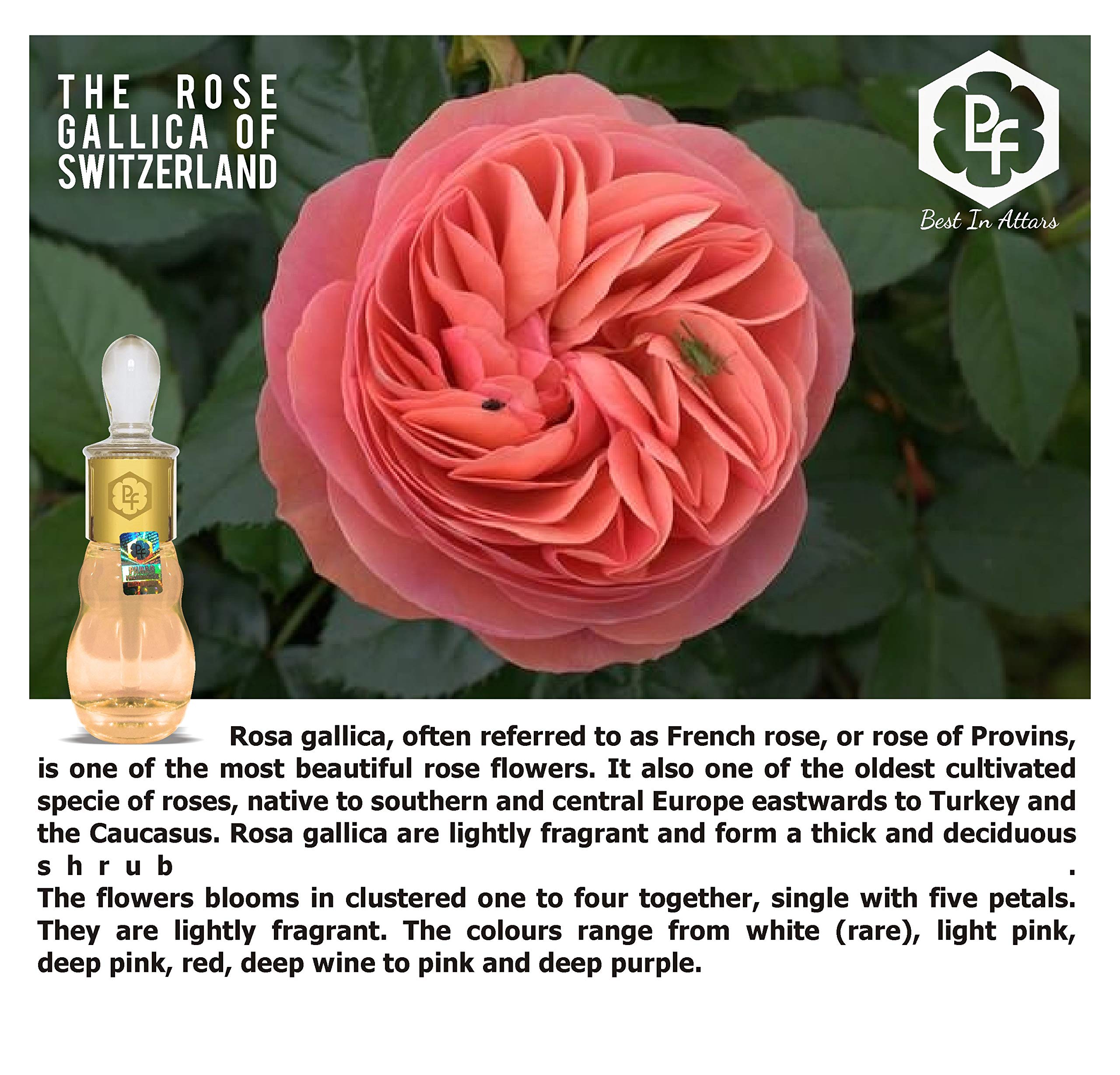 Parag Fragrances Rose Attar / Perfume Oil 25ml 3
