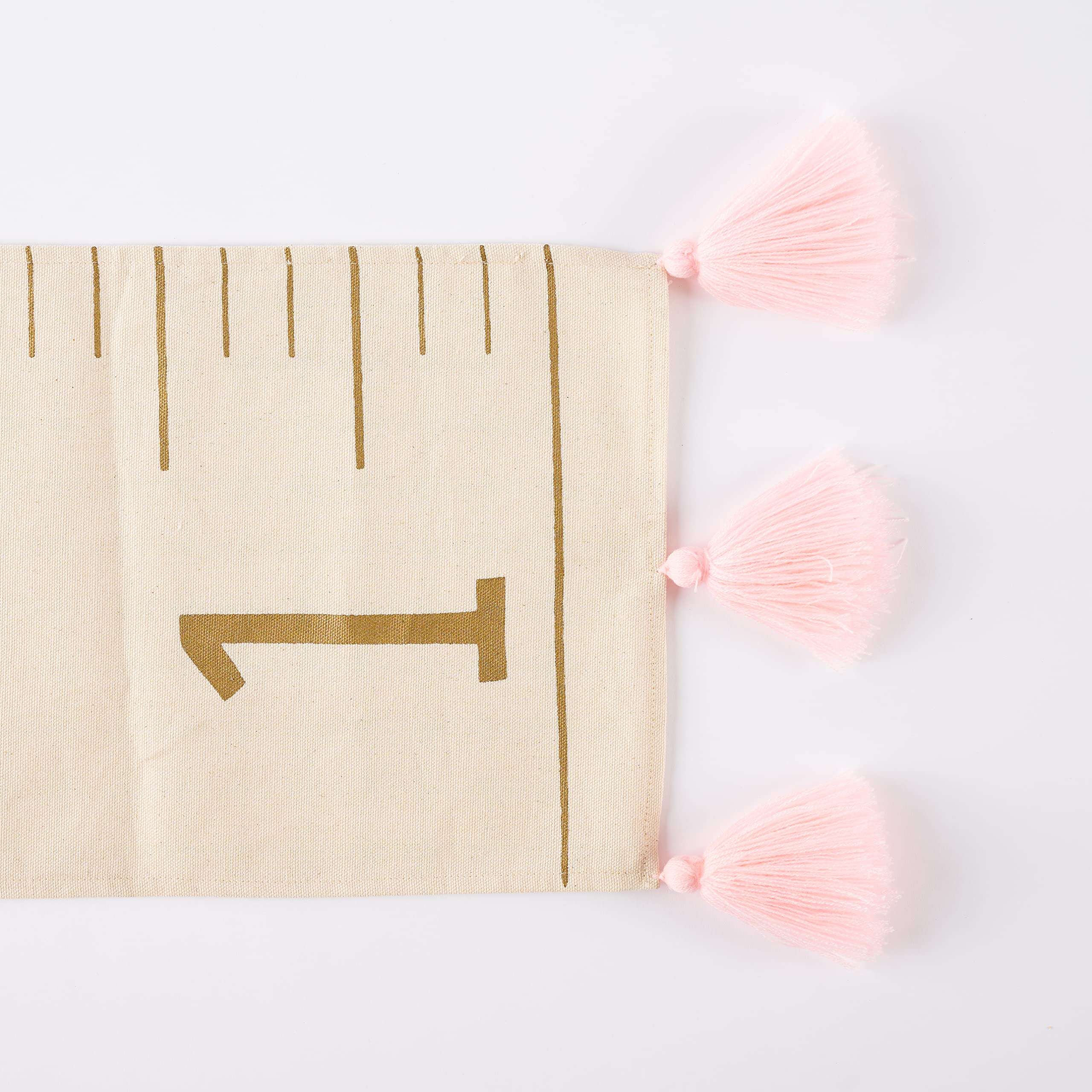 Mud Pie Milestone Growth Chart & Grey Pom Pink 6