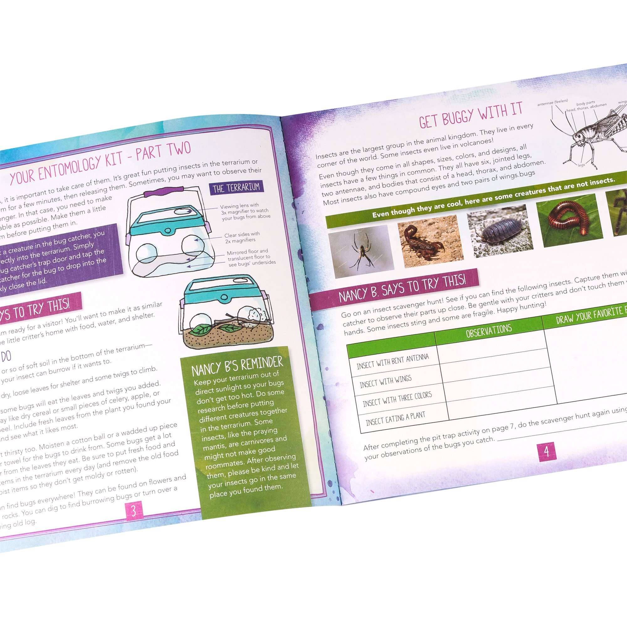 Educational Insights Nancy B's Science Club Bug Discovery Lab & Incredible Insects Journal 5