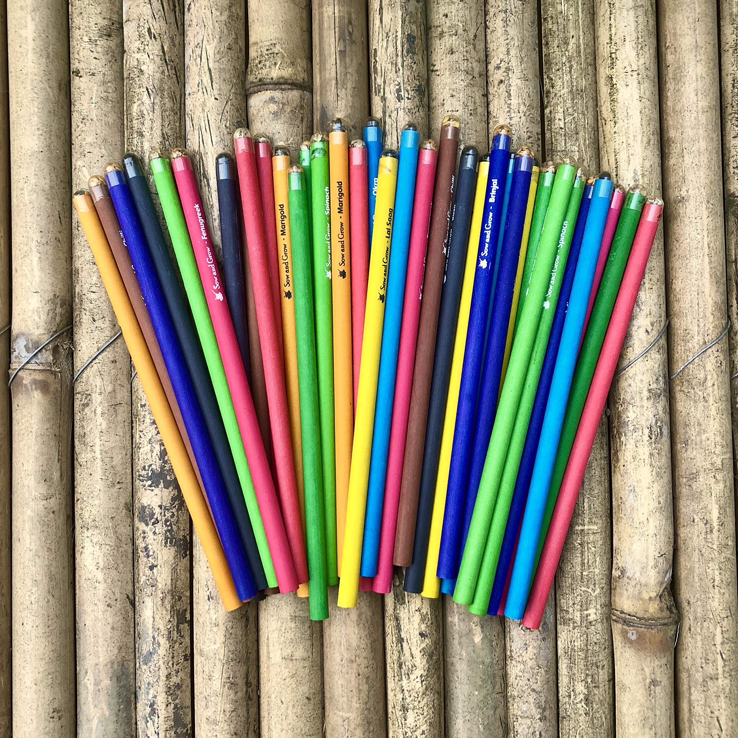 Sow and Grow Box Of 50 Plantable Seed Pencils|Eco Friendly Gift Pack|Jute Pouch Bulk Packaging|Grow Plants From Pencils|Green 2