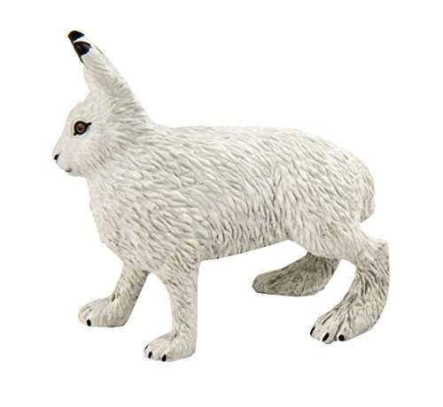 Safari Ltd Arctic Hare 4