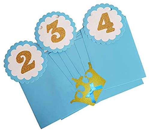 AMFIN® First Year Birthday Photo Banner / Monthly Photo Banner (12 Months) - Blue 5