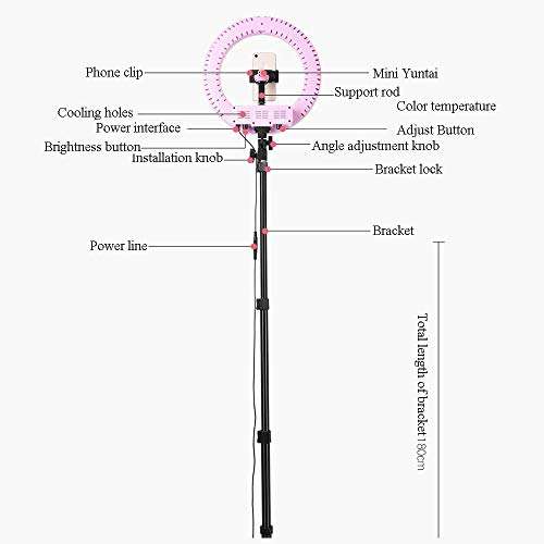 JION 14-Inch Self-Timer Ring Light with Tripod Stand and Phone Holder for Live/Makeup, Mini Led Camera Ring Light for YouTube Video/Photography Compatible with iPhone Xs Max Xr Android 5