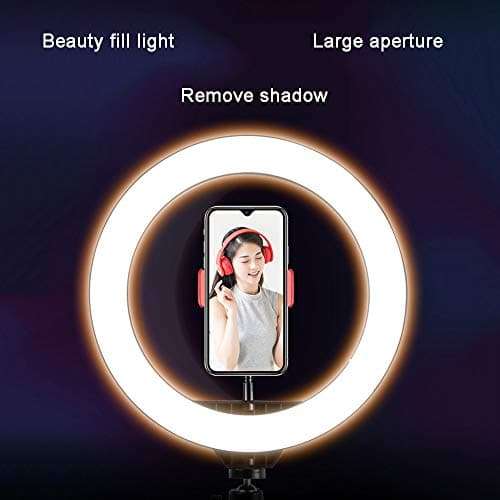 ZJING 26cm LED Ring Light, Dimmable Self-Timer Lamp with Stand, Suitable for Live Broadcast, Fill Light, Photography, Smartphone,A,1.6m 5