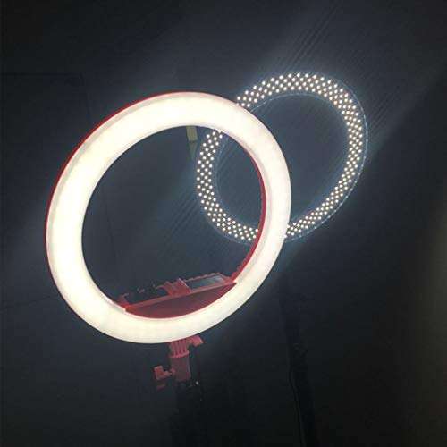 LBBL Ring Light Tripod, with Mirror 14 LED Fill Light Adjustable Color Temperature with Phone Holder for Makeup Selfie Photography Live Streaming (Color : White) 4