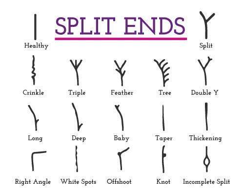 Matrix Opticare Smooth Straight Split End Shea Butter Hair Serum (100 ml) 4