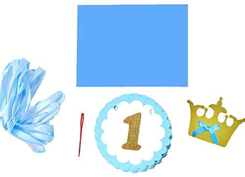 AMFIN® First Year Birthday Photo Banner / Monthly Photo Banner (12 Months) - Blue 3