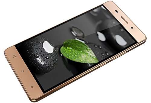 Gionee Marathon M5 Lite (Gold) 5