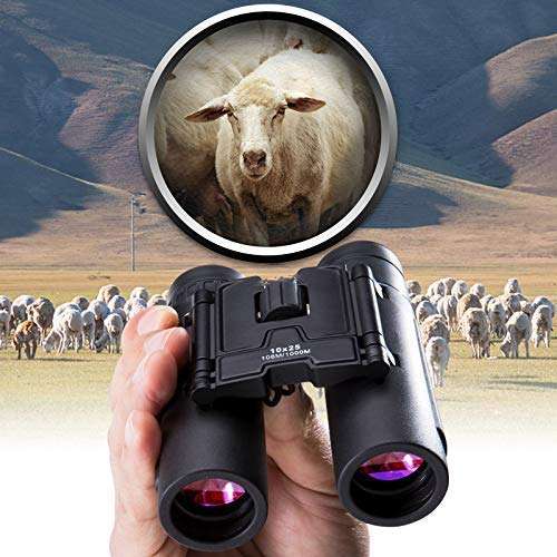 WEI-LUONG Telescope Hd 10X25 Camping Scopes Binoculars with Bag Telescope Waterproof Folding Telescopes Bak4 Prism Optics Binoculares, Outdoor 3