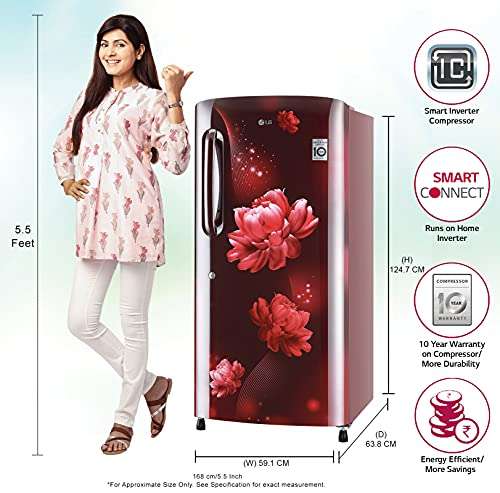 LG 215L 5 Star Inverter Direct-Cool Single Door Refrigerator (GL-B221ASCZ, Scarlet Charm, Fastest Ice Making) 3
