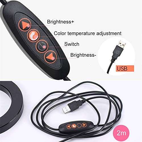 LED Circle Lights Halo Lighting with Tripod Stand,Selfie Ring Light for Live Stream/Makeup/YouTube Video,210cm,3 Phone Holders 6