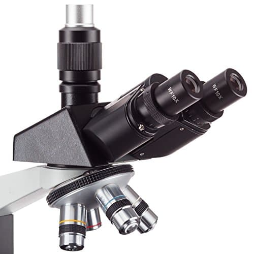 AmScope T490B-MT Digital Compound Trinocular Microscope, WF10x and WF20x Eyepieces, 40X-2000X Magnification, Brightfield, Halogen Illumination, Abbe Condenser, Double-Layer Mechanical Stage, Sliding Head, High-Resolution Optics, Includes 1.3MP Camera with Reduction Lens and Software 6