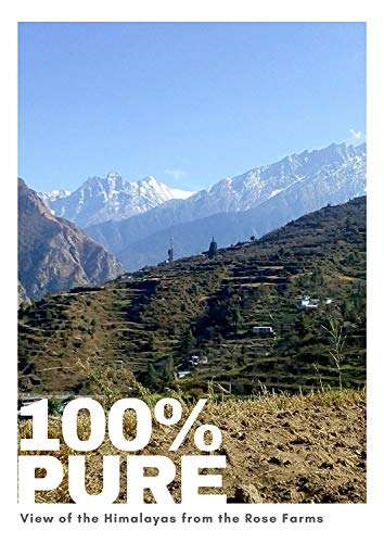 Pahada Organic Damask Rose Water (Gulab Jal) - 400 ml | Steam Distilled | Made with Damask Roses | Comes with a mist spray bottle 5