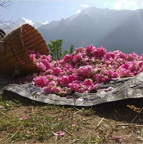 Pahada Organic Damask Rose Water (Gulab Jal) - 400 ml | Steam Distilled | Made with Damask Roses | Comes with a mist spray bottle 4