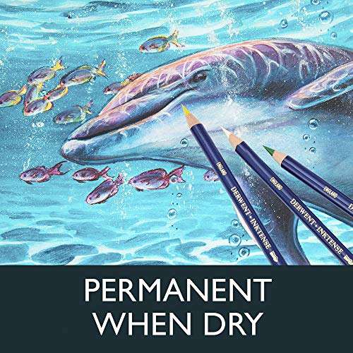 Derwent Colored Pencils, Inktense Ink Pencils, Drawing, Art, Gift Set Wooden Box, 24 Count (2302586) 3