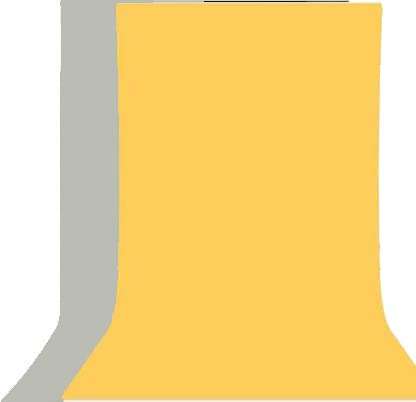 Cam Cart 8ft X 12ft Non-Transparent 2-in-1 Photography Backdrop Background Chromakey, 2 Colors in Single Backdrop (Gray & Yellow) 1
