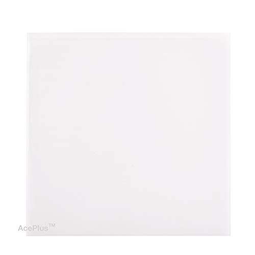 100 CPP CD Vinyl Sleeve 5"X5" with NO Flap 2