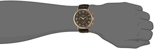 Escort Analog Brown Dial Men's Watch-E-2550-4056RGL.19 6